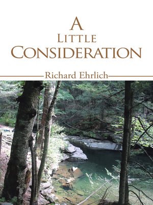 cover image of A Little Consideration